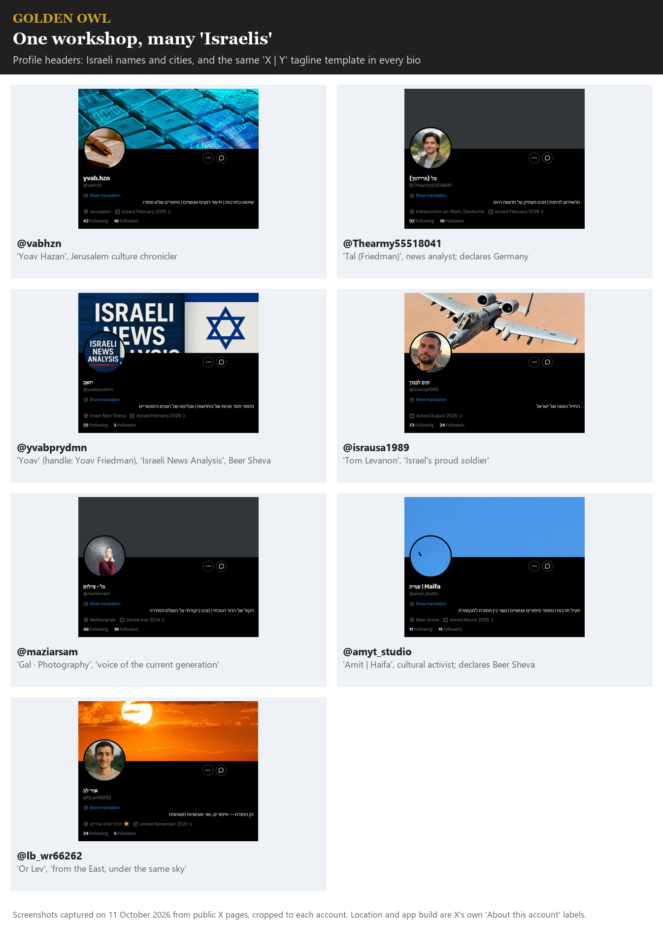 Exhibit 5. Profile headers of the first seven reported accounts: Israeli names and cities, and one 'X | Y' tagline template.